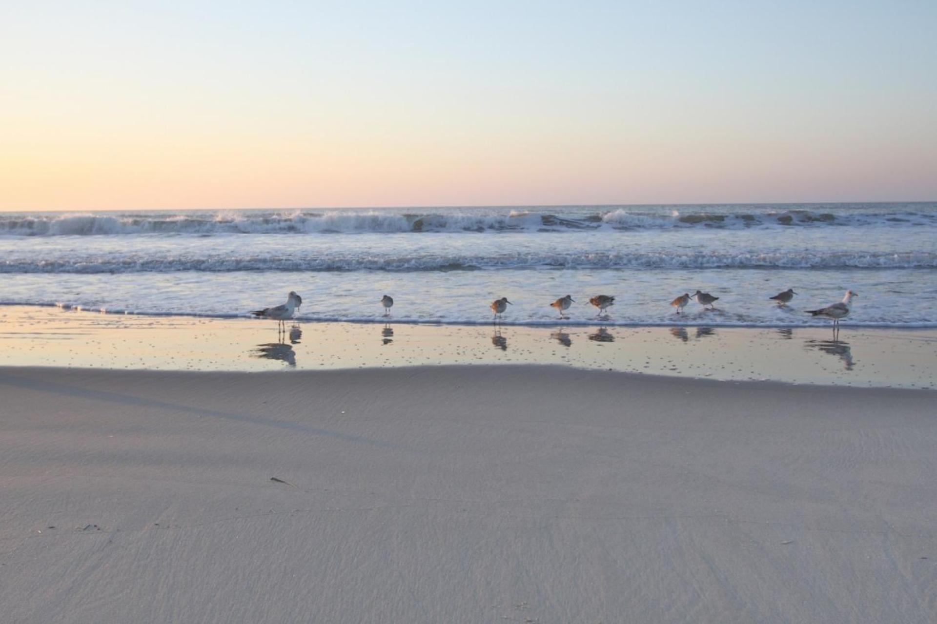 Ocean Pearl Vila Isle of Palms Exterior foto